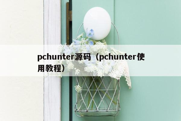 pchunter源码（pchunter使用教程）