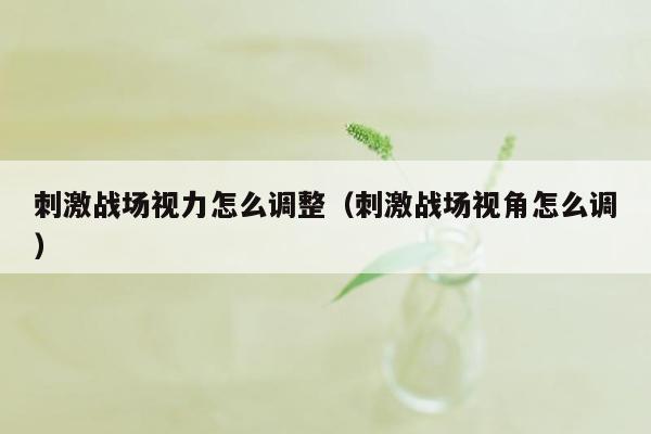 刺激战场视力怎么调整（刺激战场视角怎么调）