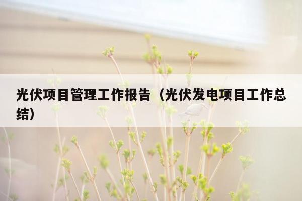 光伏项目管理工作报告（光伏发电项目工作总结）