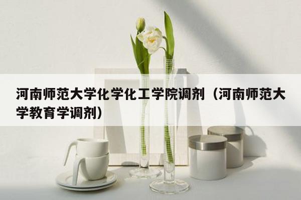 河南师范大学化学化工学院调剂（河南师范大学教育学调剂）