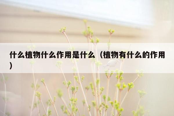 什么植物什么作用是什么（植物有什么的作用）