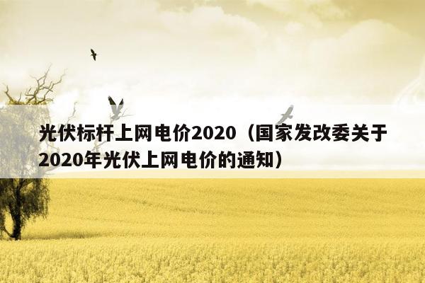 光伏标杆上网电价2020（国家发改委关于2020年光伏上网电价的通知）