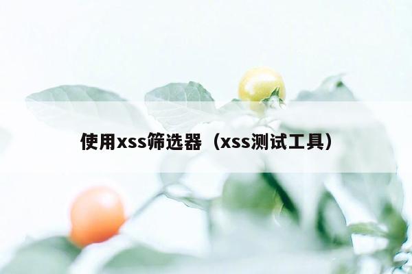 使用xss筛选器（xss测试工具）