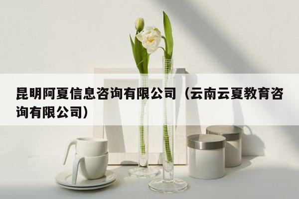 昆明阿夏信息咨询有限公司（云南云夏教育咨询有限公司）