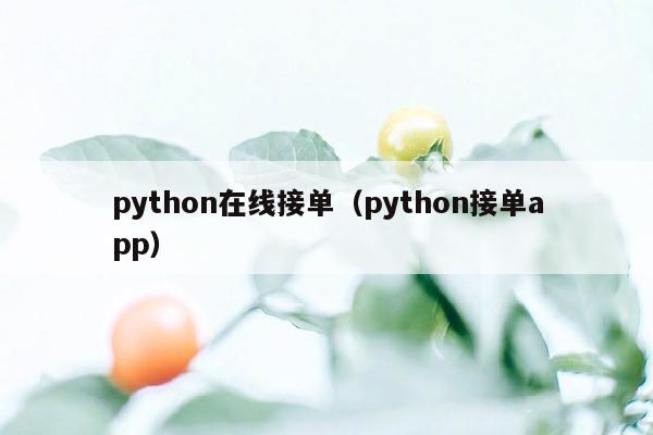 python在线接单（python接单app）