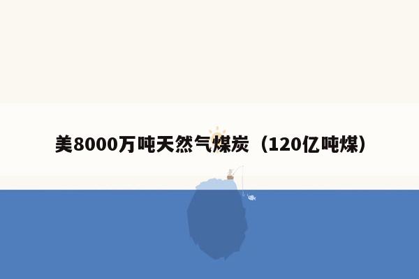 美8000万吨天然气煤炭（120亿吨煤）