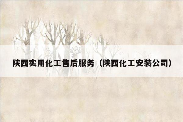 陕西实用化工售后服务（陕西化工安装公司）