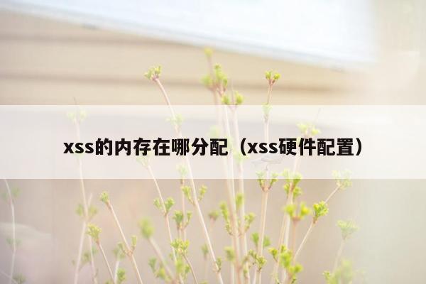 xss的内存在哪分配（xss硬件配置）