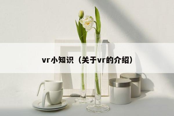 vr小知识（关于vr的介绍）