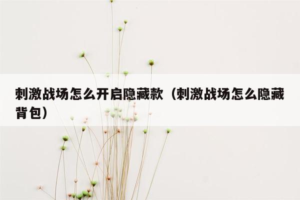 刺激战场怎么开启隐藏款（刺激战场怎么隐藏背包）