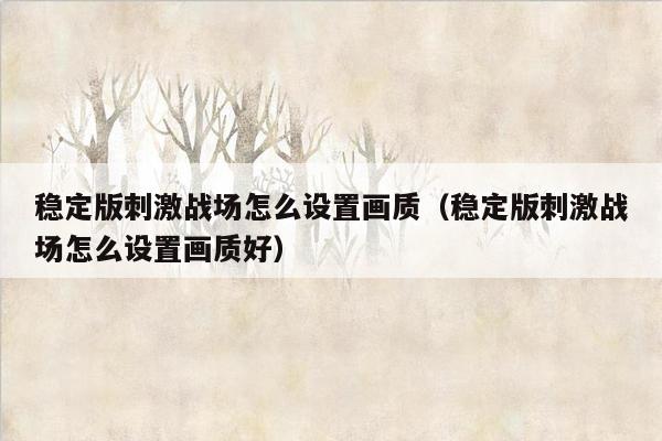 稳定版刺激战场怎么设置画质（稳定版刺激战场怎么设置画质好）