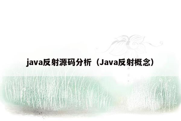 java反射源码分析（Java反射概念）