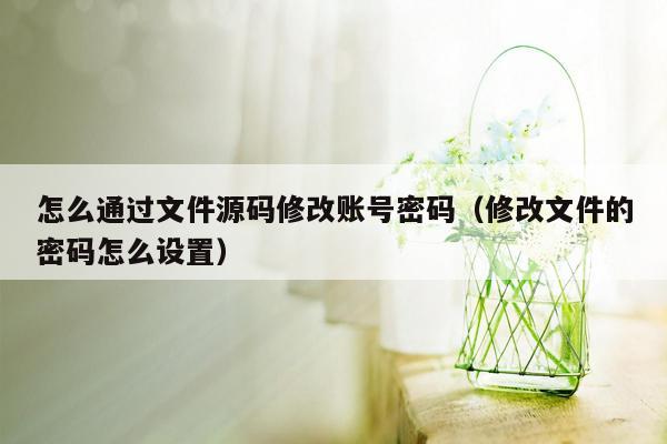 怎么通过文件源码修改账号密码（修改文件的密码怎么设置）