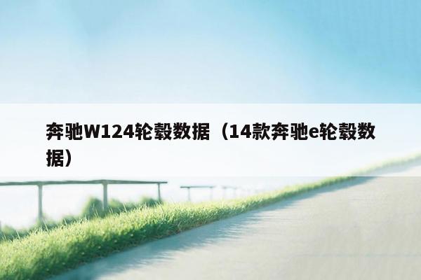 奔驰W124轮毂数据（14款奔驰e轮毂数据）