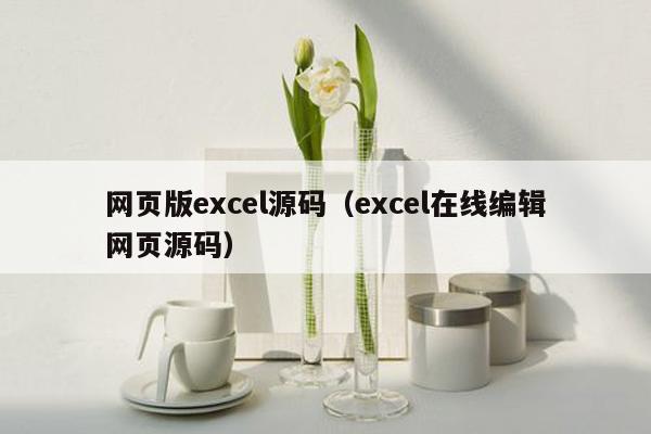 网页版excel源码（excel在线编辑网页源码）