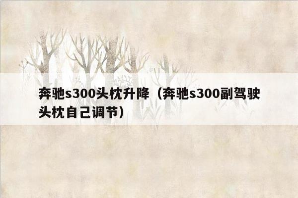 奔驰s300头枕升降（奔驰s300副驾驶头枕自己调节）