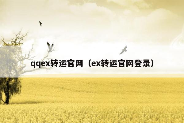 qqex转运官网（ex转运官网登录）