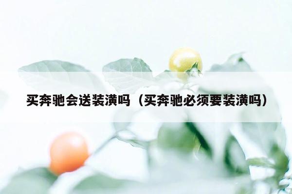 买奔驰会送装潢吗（买奔驰必须要装潢吗）