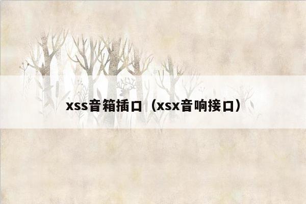 xss音箱插口（xsx音响接口）