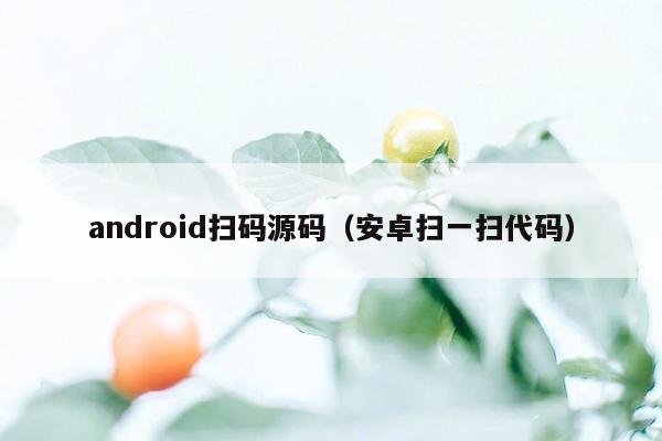 android扫码源码（安卓扫一扫代码）