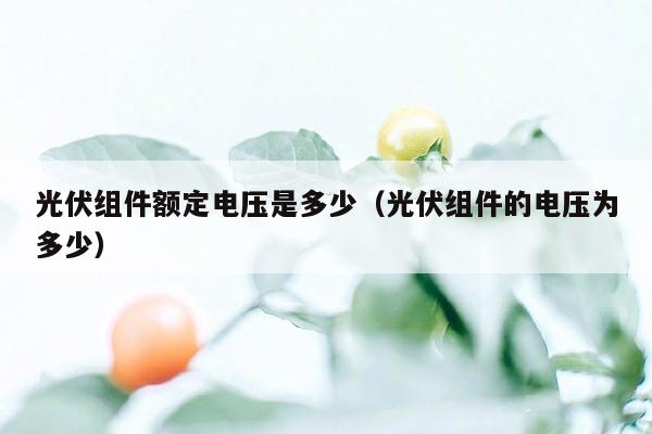 光伏组件额定电压是多少（光伏组件的电压为多少）