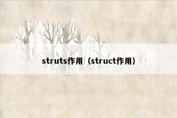 struts作用（struct作用）