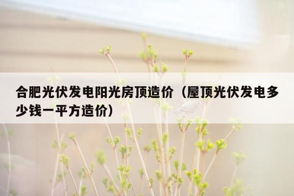 合肥光伏发电阳光房顶造价（屋顶光伏发电多少钱一平方造价）