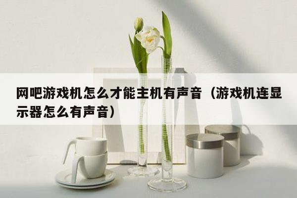 网吧游戏机怎么才能主机有声音（游戏机连显示器怎么有声音）