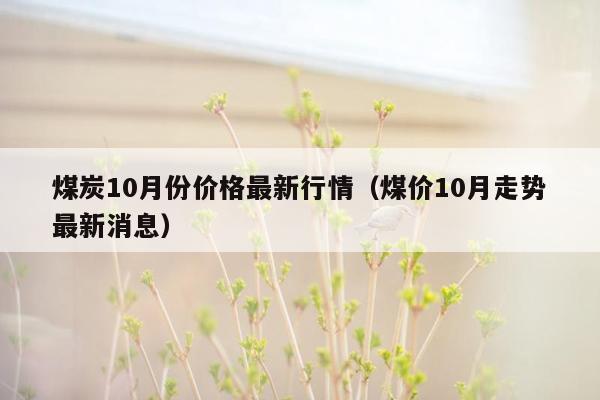 煤炭10月份价格最新行情（煤价10月走势最新消息）