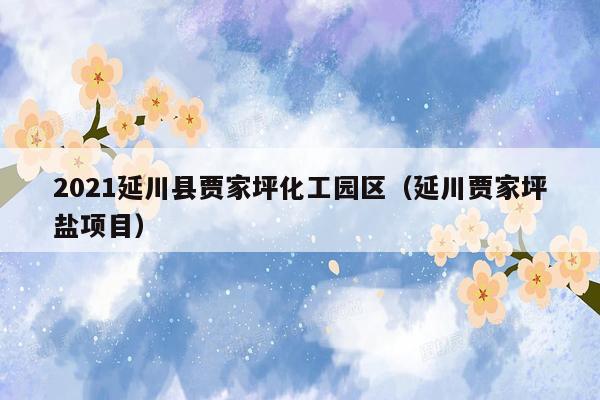 2021延川县贾家坪化工园区（延川贾家坪盐项目）