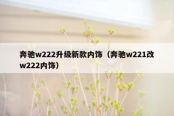 奔驰w222升级新款内饰（奔驰w221改w222内饰）