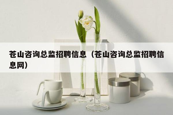 苍山咨询总监招聘信息（苍山咨询总监招聘信息网）