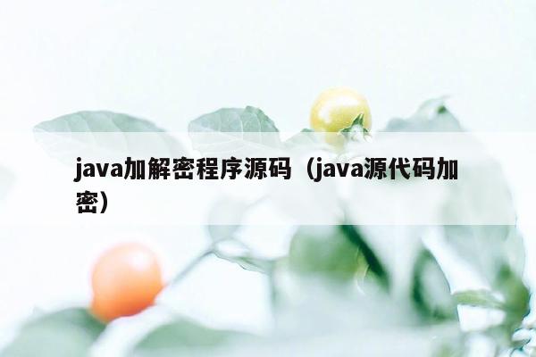 <strong>java</strong>加解密程序源码（<strong>java</strong>源代码加密）