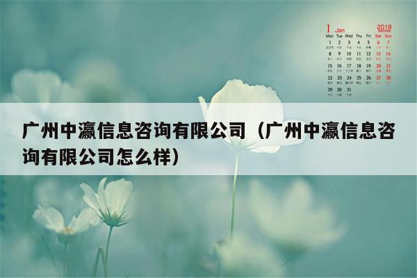 广州中瀛信息咨询有限公司（广州中瀛信息咨询有限公司怎么样）