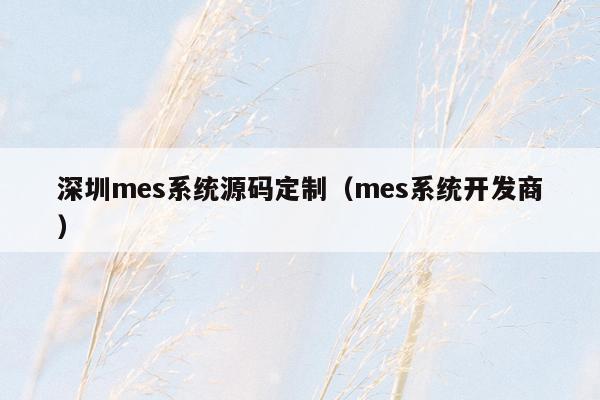 深圳mes系统源码定制（mes系统开发商）