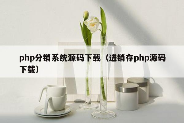 php分销系统源码下载（进销存php源码下载）