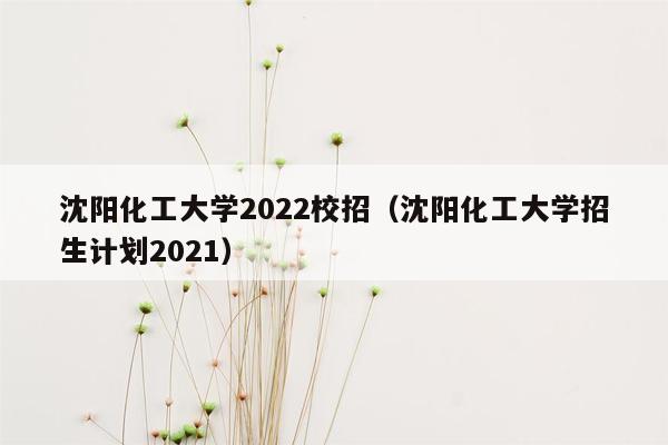 沈阳化工大学2022校招（沈阳化工大学招生计划2021）