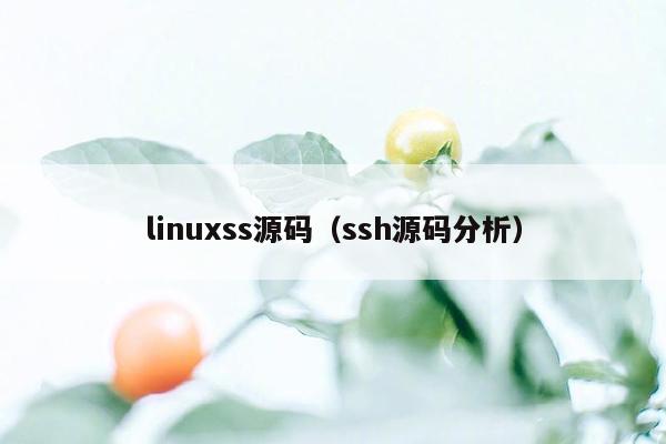 linuxss源码（ssh源码分析）