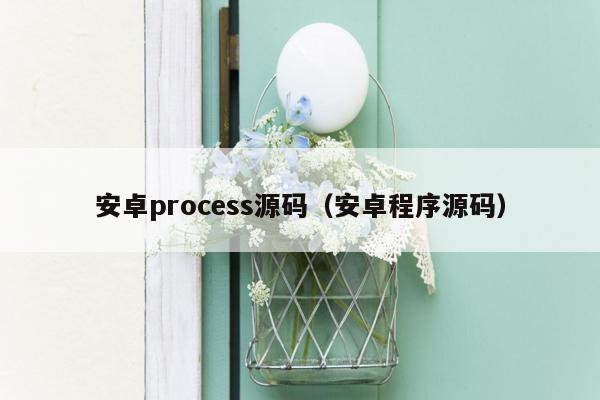 安卓process源码（安卓程序源码）