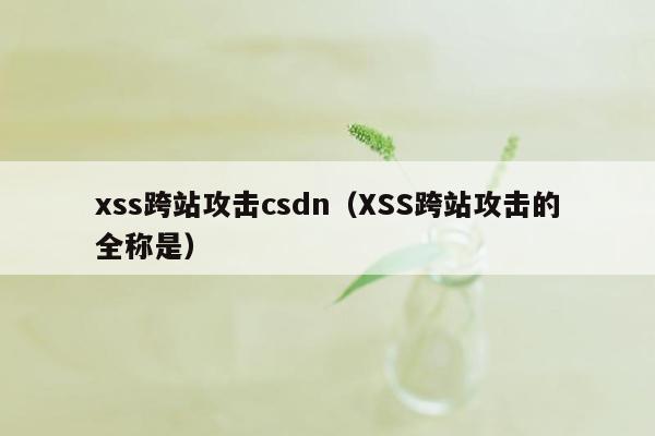 xss跨站攻击csdn（XSS跨站攻击的全称是）