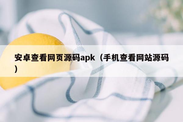 安卓查看网页源码apk（手机查看网站源码）