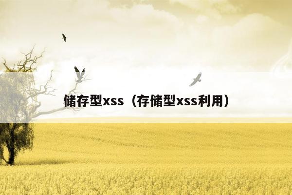 储存型xss（存储型xss利用）