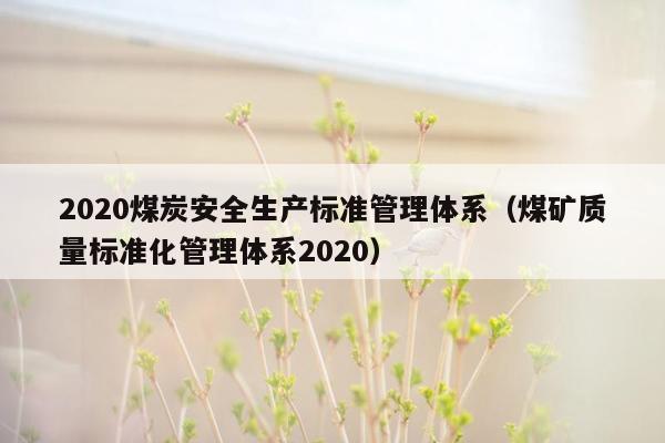 2020煤炭安全生产标准管理体系（煤矿质量标准化管理体系2020）