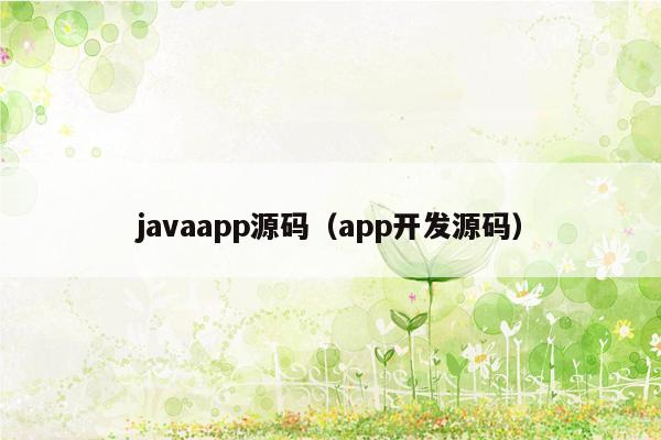 javaapp源码（app开发源码）