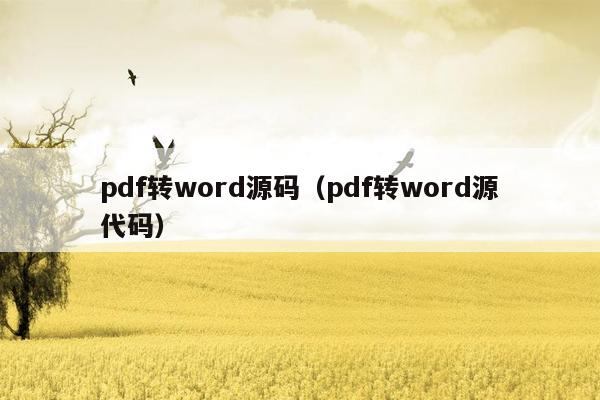 pdf转word源码（pdf转word源代码）