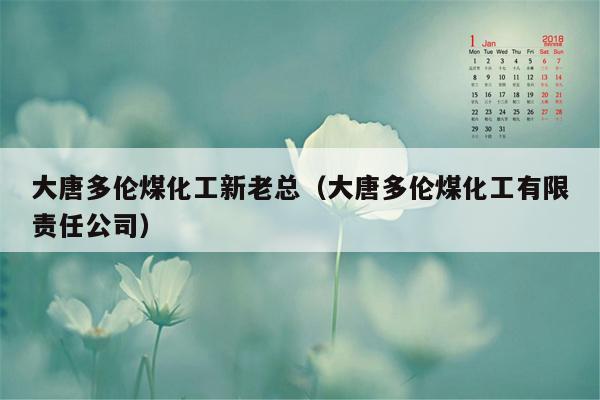 大唐多伦煤化工新老总（大唐多伦煤化工有限责任公司）