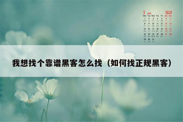 我想找个靠谱黑客怎么找（如何找正规黑客）