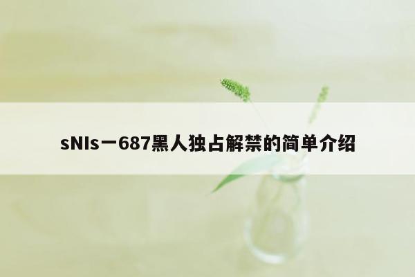 sNIs一687黑人独占解禁的简单介绍