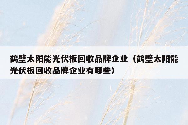 鹤壁太阳能光伏板回收品牌企业（鹤壁太阳能光伏板回收品牌企业有哪些）