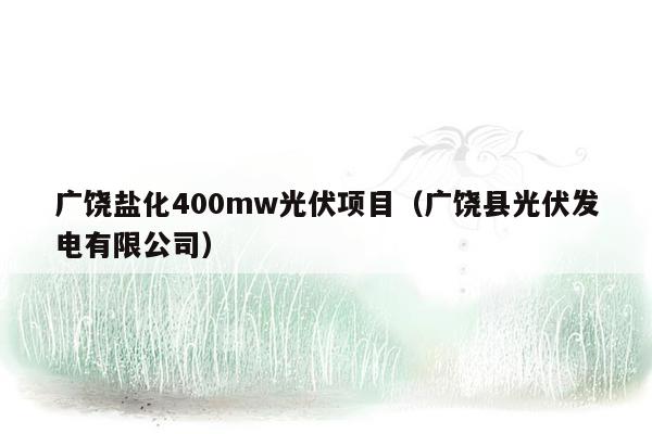 广饶盐化400mw光伏项目（广饶县光伏发电有限公司）